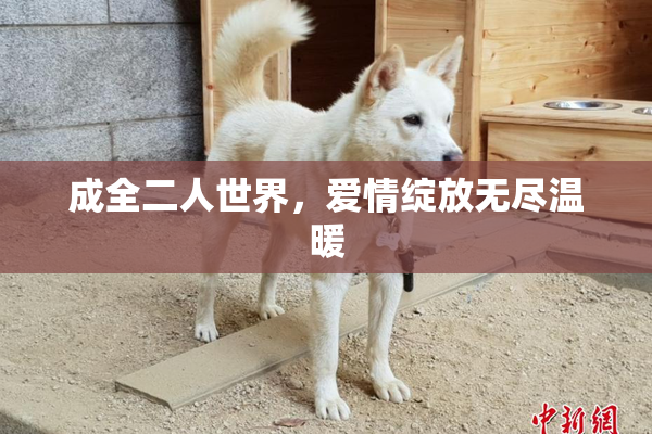 成全二人世界，爱情绽放无尽温暖