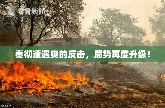秦彻遭遇爽的反击，局势再度升级！