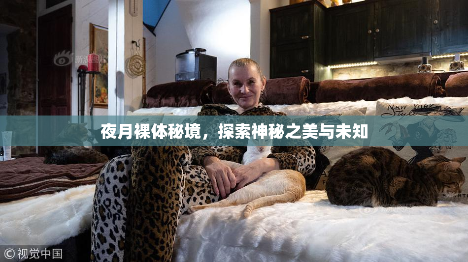夜月裸体秘境，探索神秘之美与未知