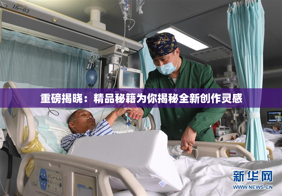 重磅揭晓：精品秘籍为你揭秘全新创作灵感