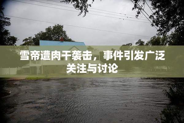 雪帝遭肉干袭击，事件引发广泛关注与讨论