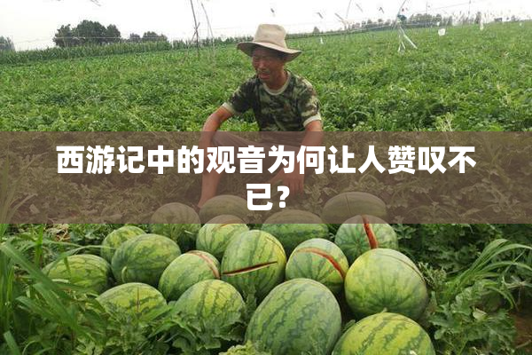 西游记中的观音为何让人赞叹不已？