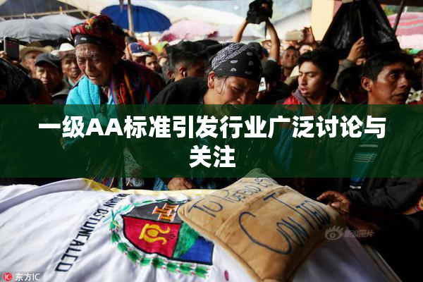 一级AA标准引发行业广泛讨论与关注