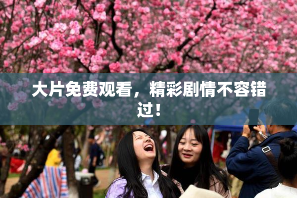 大片免费观看，精彩剧情不容错过！