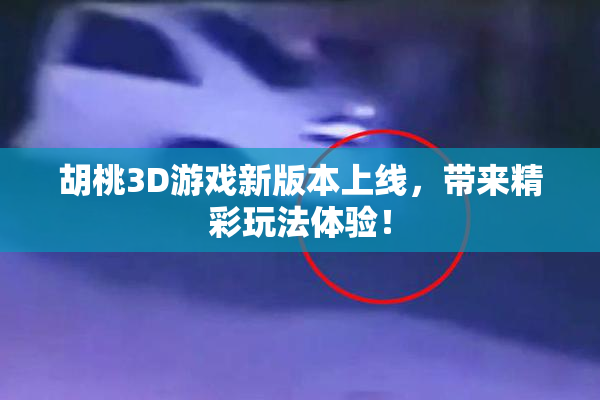 胡桃3D游戏新版本上线，带来精彩玩法体验！