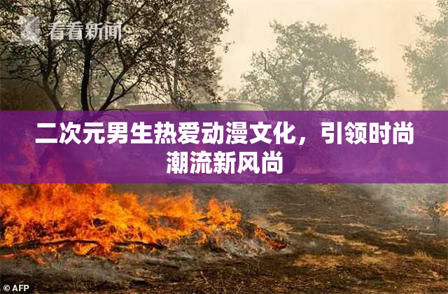 二次元男生热爱动漫文化，引领时尚潮流新风尚