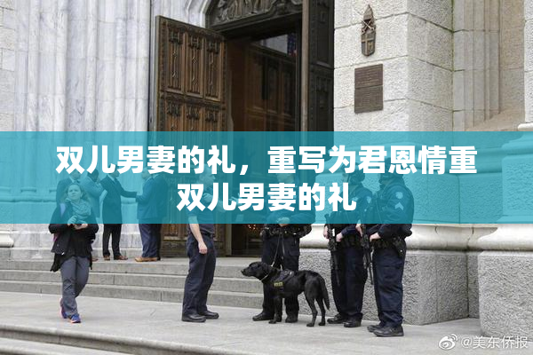 双儿男妻的礼，重写为君恩情重双儿男妻的礼
