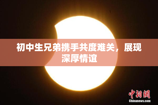 初中生兄弟携手共度难关，展现深厚情谊