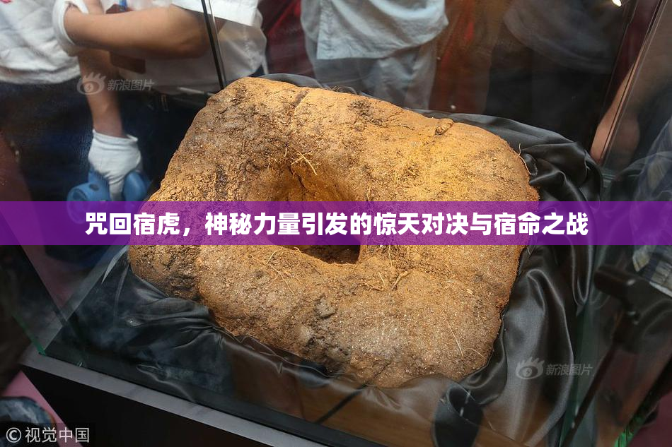 咒回宿虎，神秘力量引发的惊天对决与宿命之战