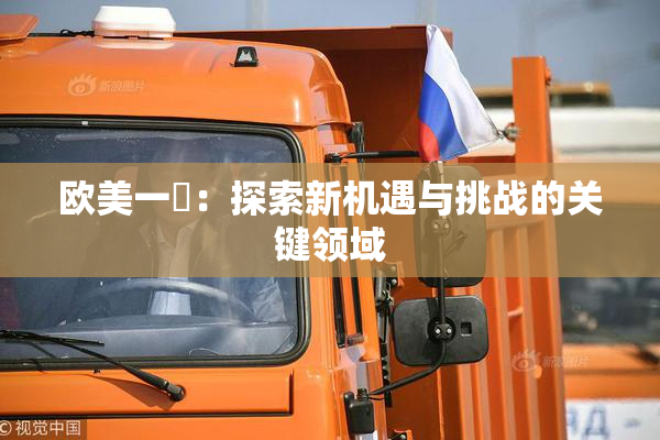 欧美一級：探索新机遇与挑战的关键领域