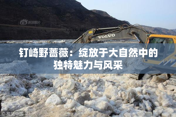 钉崎野蔷薇：绽放于大自然中的独特魅力与风采
