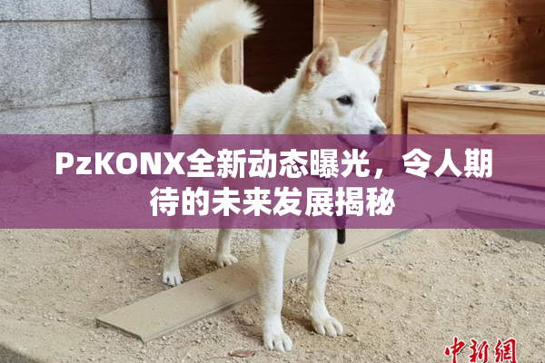 PzKONX全新动态曝光，令人期待的未来发展揭秘
