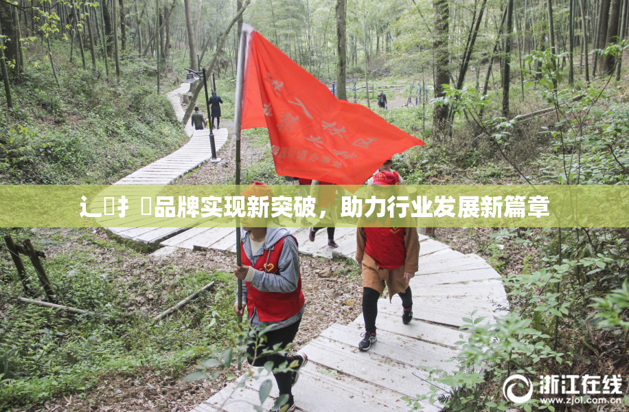 辶喿扌畐品牌实现新突破，助力行业发展新篇章