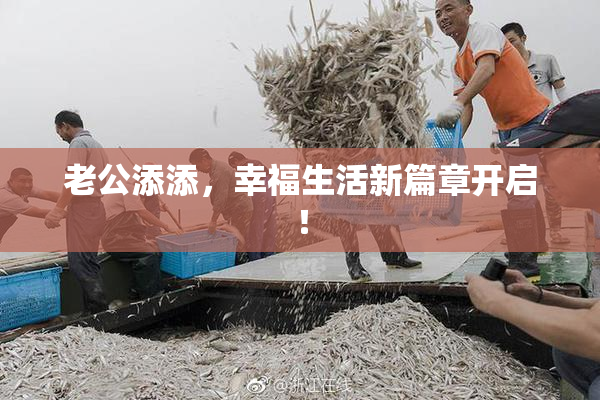 老公添添，幸福生活新篇章开启！