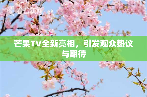 芒果TV全新亮相，引发观众热议与期待
