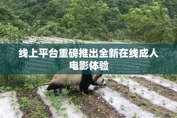 线上平台重磅推出全新在线成人电影体验