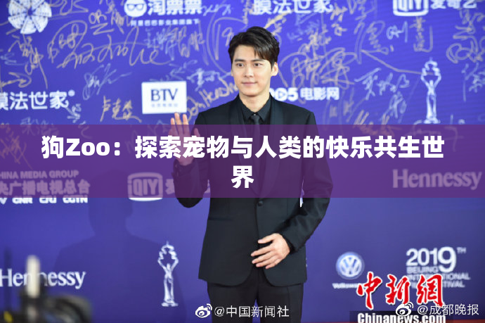 狗Zoo：探索宠物与人类的快乐共生世界