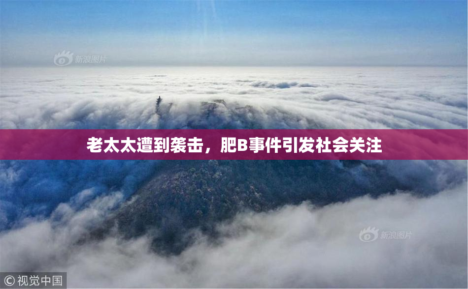 老太太遭到袭击，肥B事件引发社会关注
