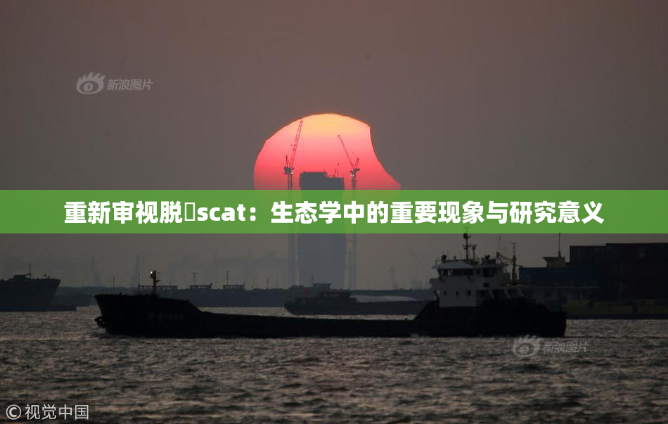 重新审视脱糞scat：生态学中的重要现象与研究意义