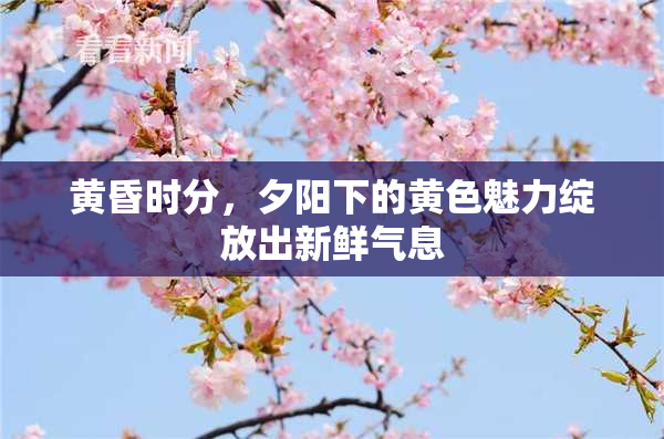 黄昏时分，夕阳下的黄色魅力绽放出新鲜气息