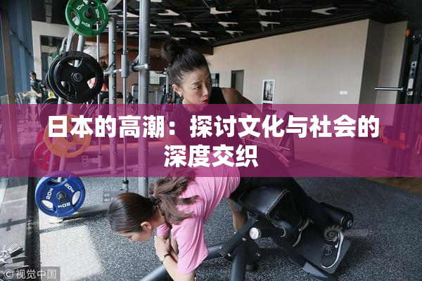 日本的高潮：探讨文化与社会的深度交织