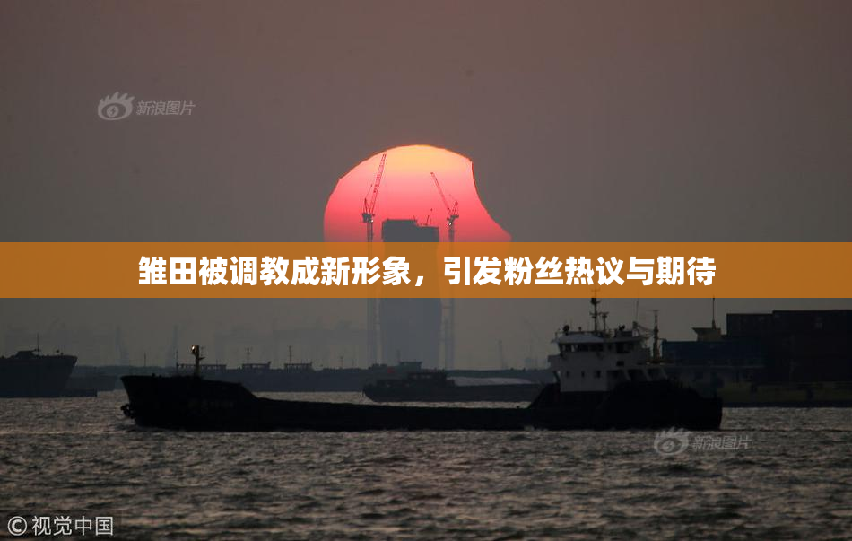 雏田被调教成新形象，引发粉丝热议与期待