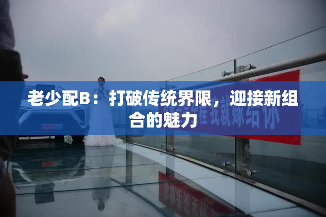 老少配B：打破传统界限，迎接新组合的魅力