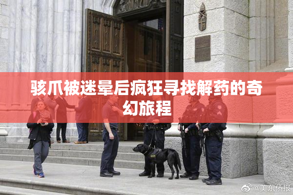 骇爪被迷晕后疯狂寻找解药的奇幻旅程