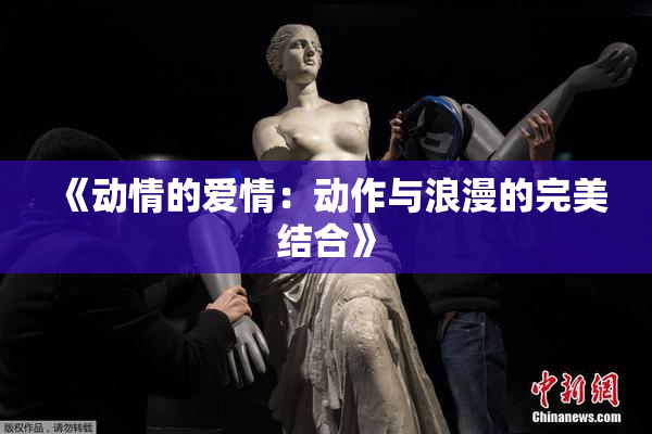 《动情的爱情：动作与浪漫的完美结合》