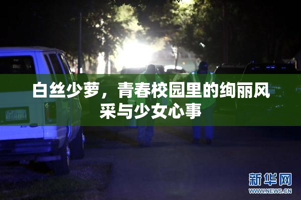 白丝少萝，青春校园里的绚丽风采与少女心事