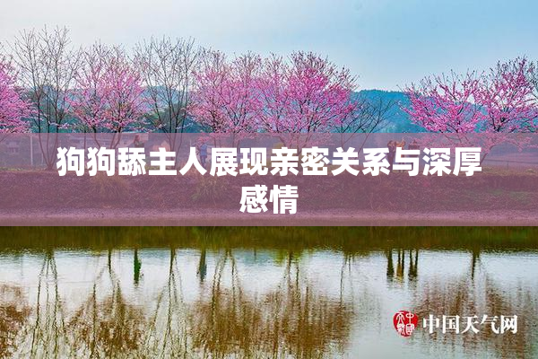 狗狗舔主人展现亲密关系与深厚感情