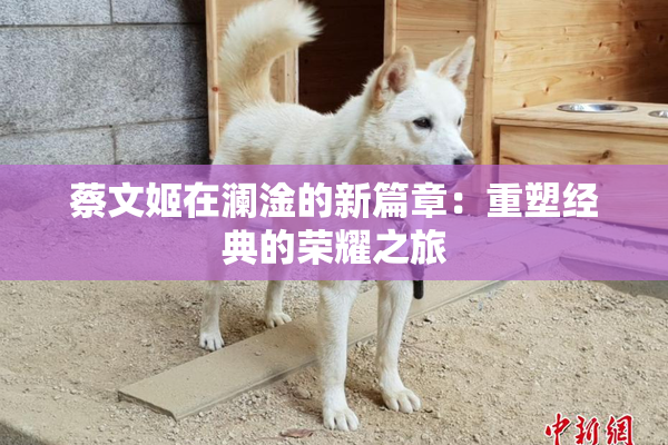 蔡文姬在澜淦的新篇章：重塑经典的荣耀之旅