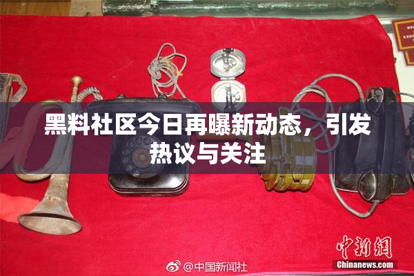 黑料社区今日再曝新动态，引发热议与关注