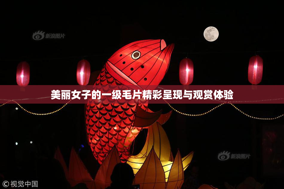 美丽女子的一级毛片精彩呈现与观赏体验
