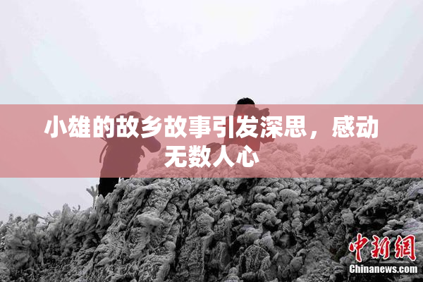 小雄的故乡故事引发深思，感动无数人心