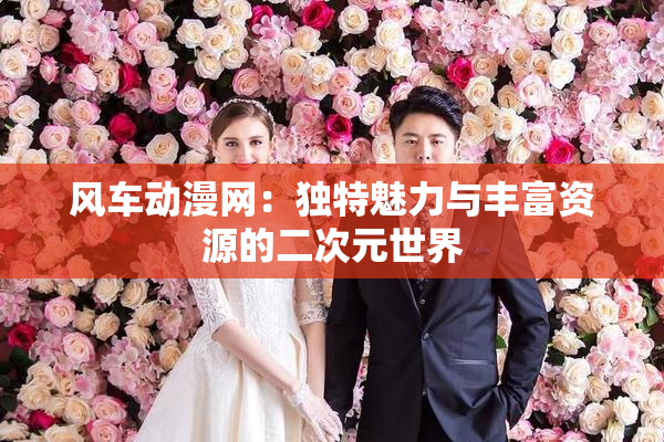 风车动漫网：独特魅力与丰富资源的二次元世界