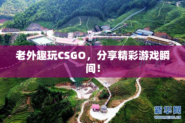 老外趣玩CSGO，分享精彩游戏瞬间！