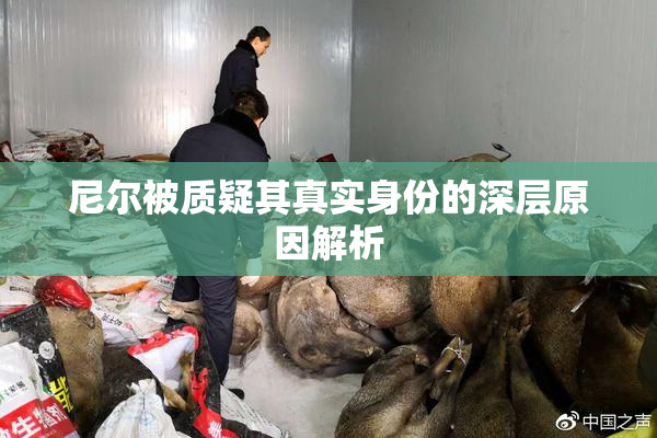 尼尔被质疑其真实身份的深层原因解析