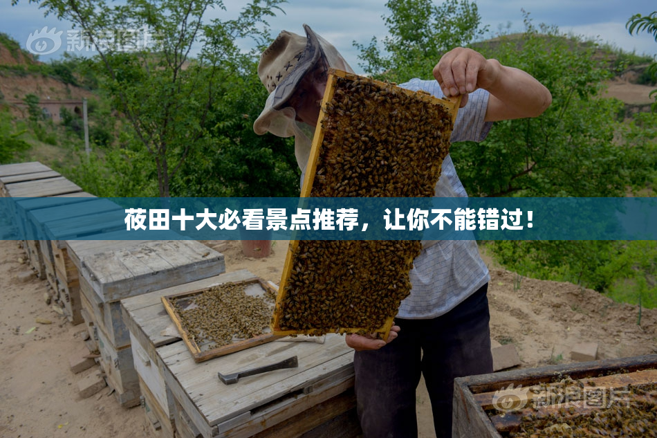 莜田十大必看景点推荐，让你不能错过！