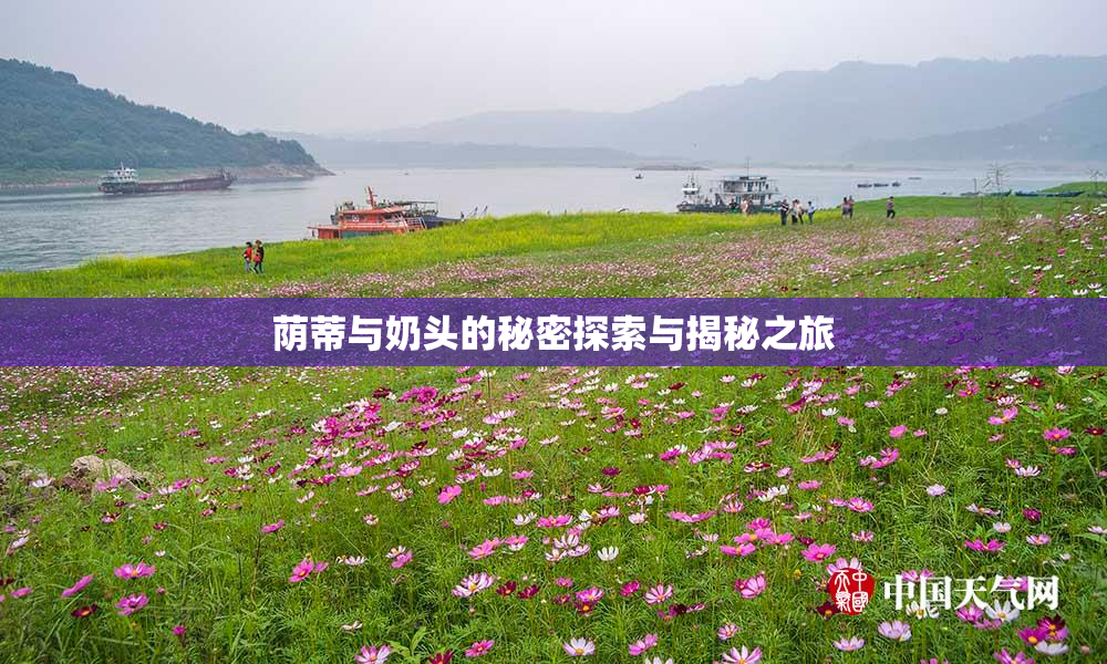 荫蒂与奶头的秘密探索与揭秘之旅