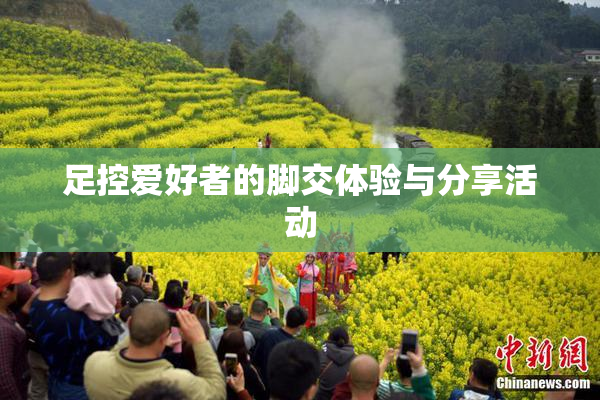 足控爱好者的脚交体验与分享活动