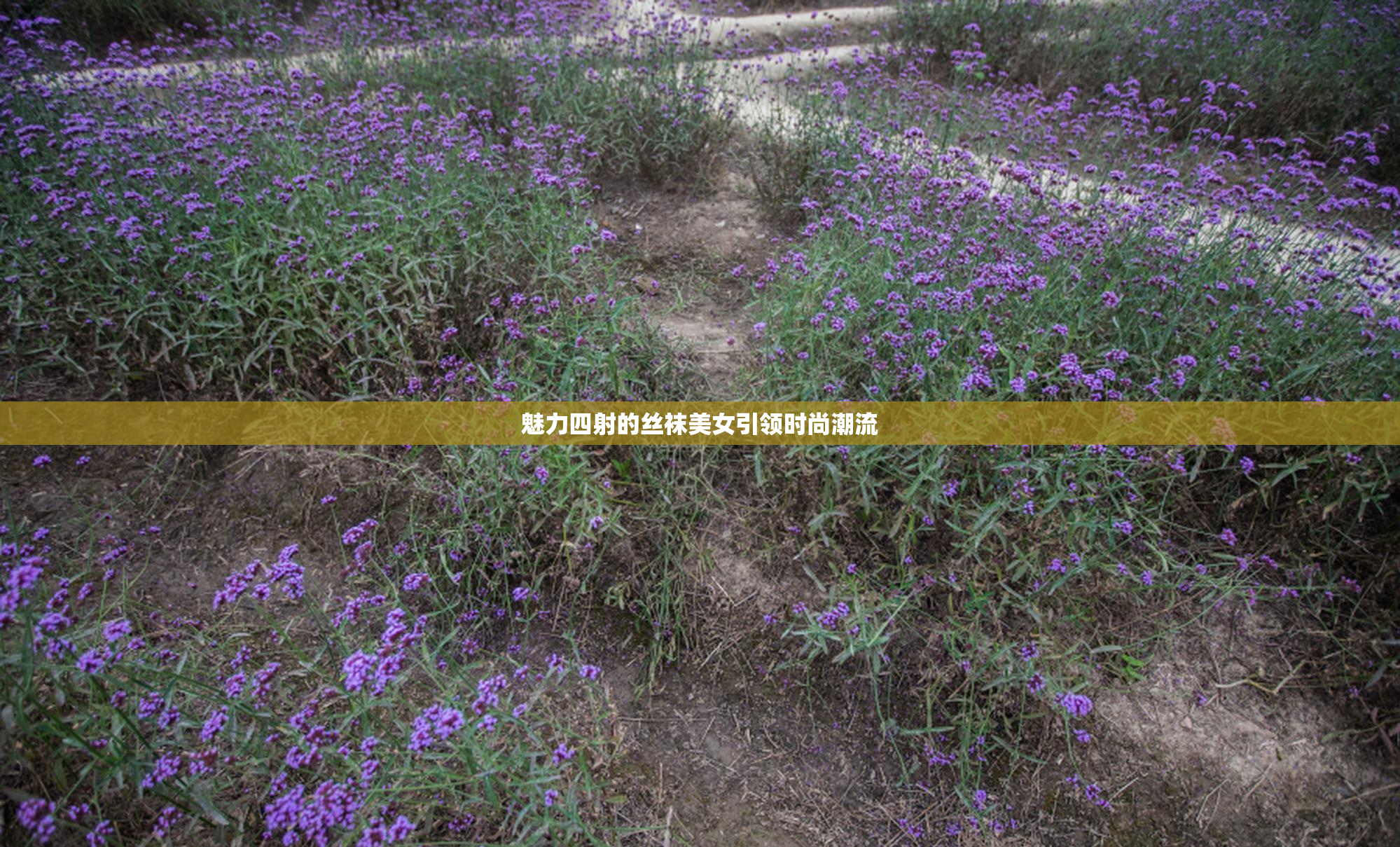 魅力四射的丝袜美女引领时尚潮流