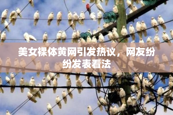 美女裸体黄网引发热议，网友纷纷发表看法