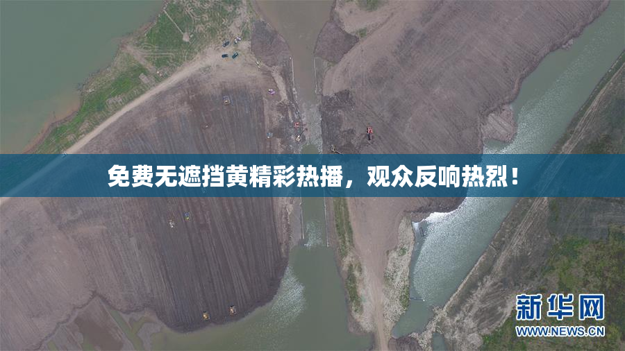 免费无遮挡黄精彩热播，观众反响热烈！