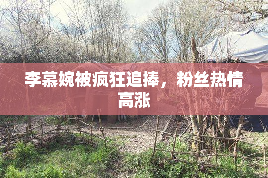李慕婉被疯狂追捧，粉丝热情高涨