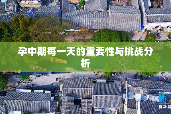 孕中期每一天的重要性与挑战分析