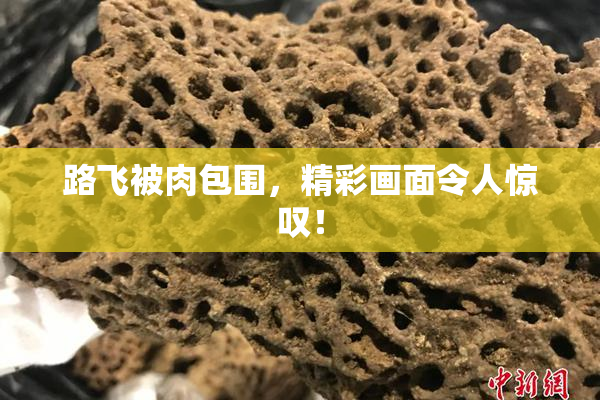 路飞被肉包围，精彩画面令人惊叹！