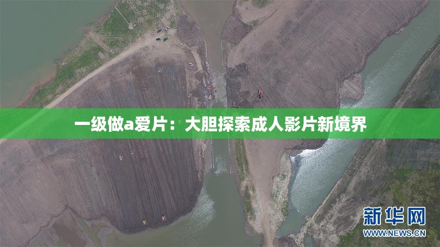 一级做a爱片：大胆探索成人影片新境界