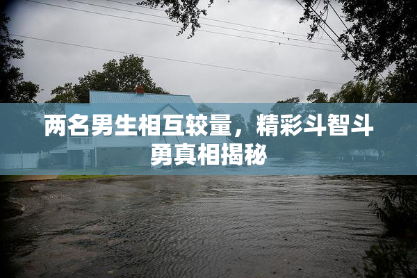 两名男生相互较量，精彩斗智斗勇真相揭秘