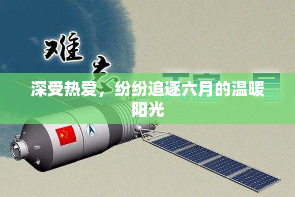 深受热爱，纷纷追逐六月的温暖阳光